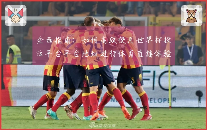 全面指南：如何高效使用世界杯投注平台平台地址进行体育直播体验