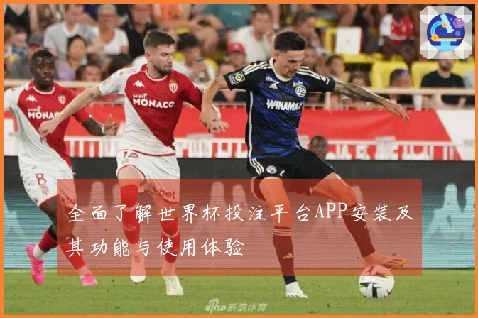 全面了解世界杯投注平台APP安装及其功能与使用体验