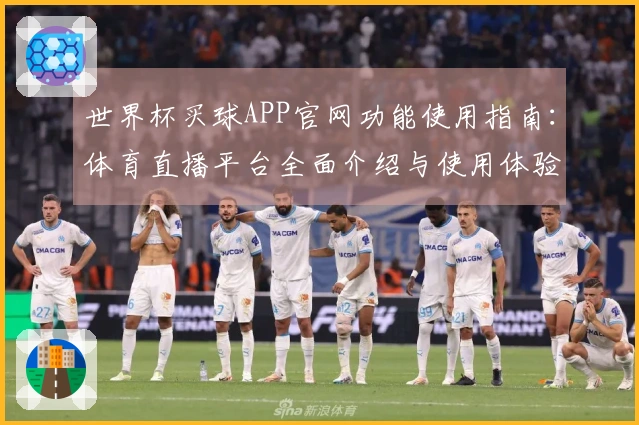 世界杯买球APP官网功能使用指南：体育直播平台全面介绍与使用体验