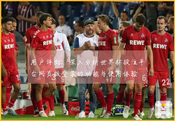 用户评测：深入分析世界杯投注平台网页版登录的功能与使用体验