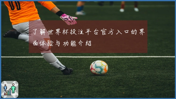了解世界杯投注平台官方入口的界面体验与功能介绍