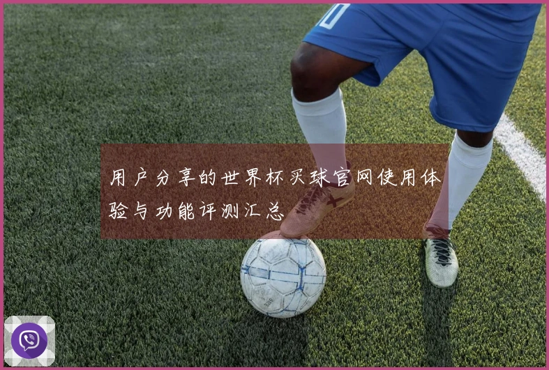 用户分享的世界杯买球官网使用体验与功能评测汇总
