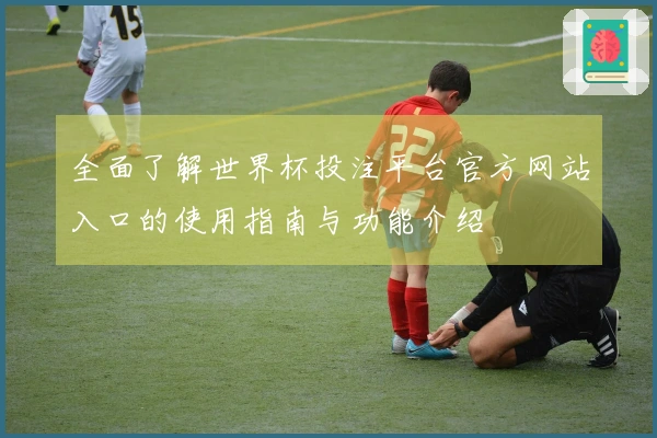 全面了解世界杯投注平台官方网站入口的使用指南与功能介绍