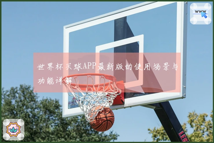 世界杯买球APP最新版的使用场景与功能详解