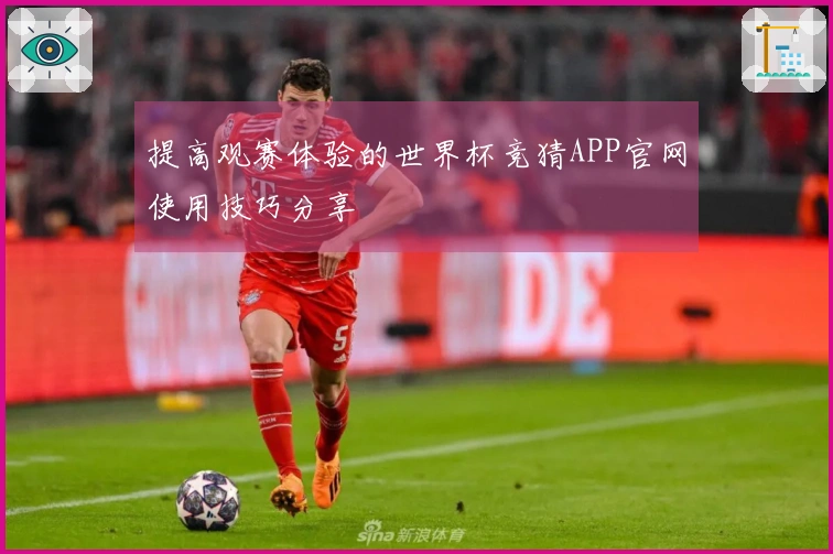 提高观赛体验的世界杯竞猜APP官网使用技巧分享