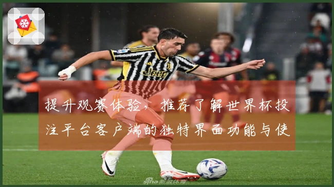 提升观赛体验，推荐了解世界杯投注平台客户端的独特界面功能与使用指南