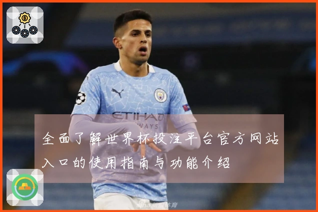 全面了解世界杯投注平台官方网站入口的使用指南与功能介绍