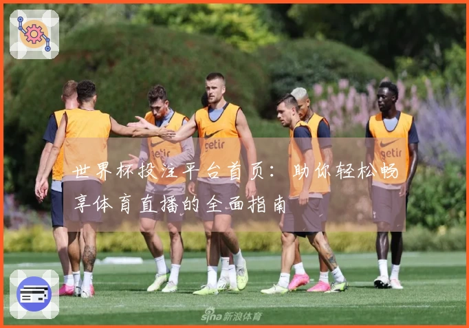 世界杯投注平台首页：助你轻松畅享体育直播的全面指南