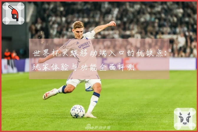 世界杯买球移动端入口的优缺点:玩家体验与功能全面评测
