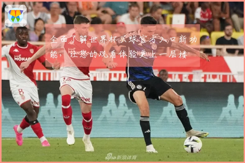 全面了解世界杯买球官方入口新功能，让您的观看体验更上一层楼