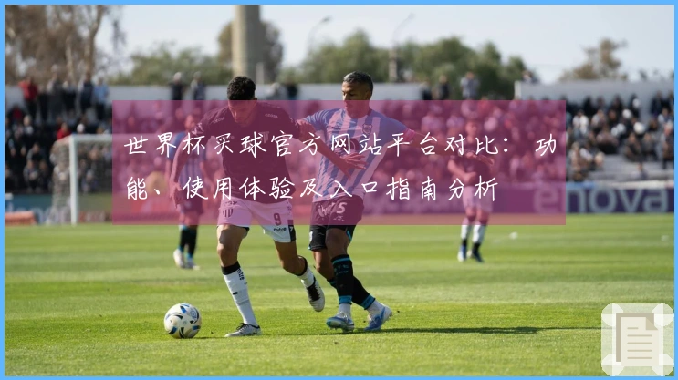 世界杯买球官方网站平台对比：功能、使用体验及入口指南分析