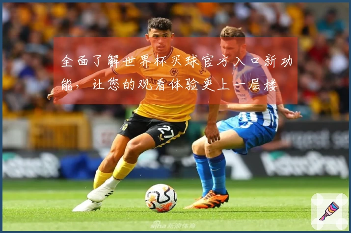 全面了解世界杯买球官方入口新功能，让您的观看体验更上一层楼