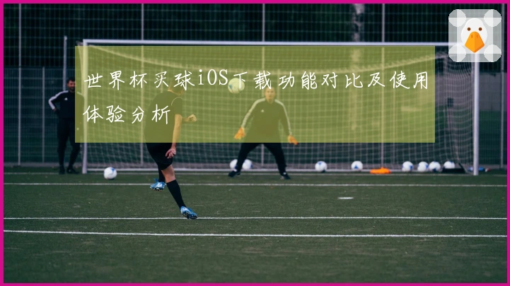 世界杯买球iOS下载功能对比及使用体验分析